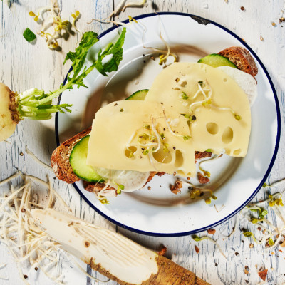 Käsebrot mit Meerrettichbutter, Rettich, Gurke und Sprossen