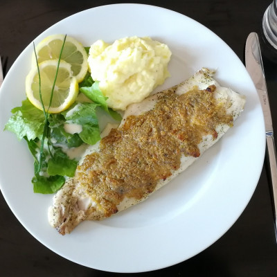 Felchenfilet mit Zitronenkruste und Meerrettich Kartoffelstock