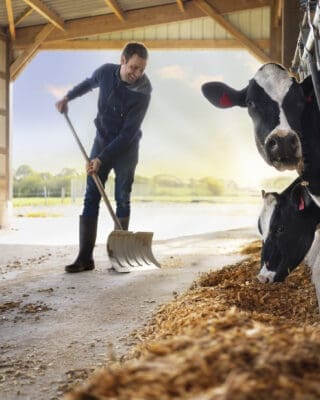 babybel_sustainability