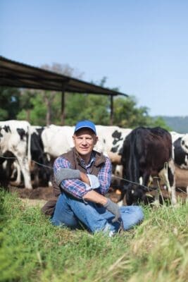 Tha laughing cow_sustainability